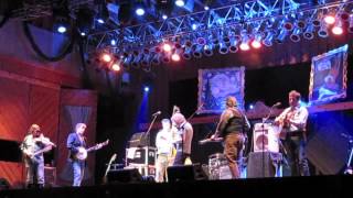 Telluride House Band 2012 - Duke and﻿ Cookie (18)