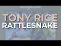 Tony Rice - Rattlesnake (Official Audio)