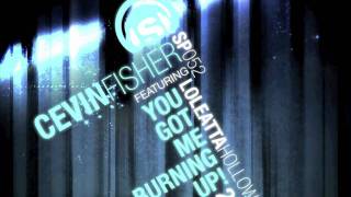 Cevin Fisher feat. Loleatta Holloway - You Got Me Burning Up (Supernova In Stereo Mix)
