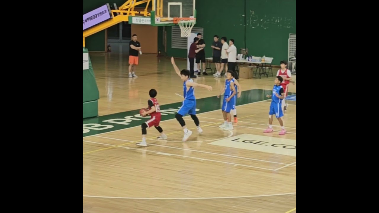 원주치악배 u12 결승 강동SK 박세준 하이라이트 #basketball #농구 #우승 #하이라이트
