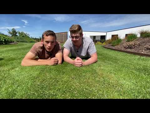 Nie mehr Aerifizieren...| Was ist bloß in dem Eimer? | Turbogrün