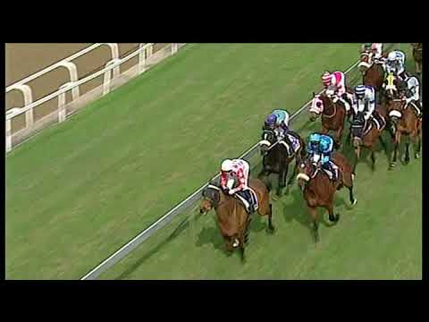 20190811 Greyville express clip Race 4 won by BEFORE NOON