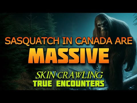 SASQUATCH IN CANADA ARE MASSIVE   SKIN CRAWLING TRUE ENCOUNTERS