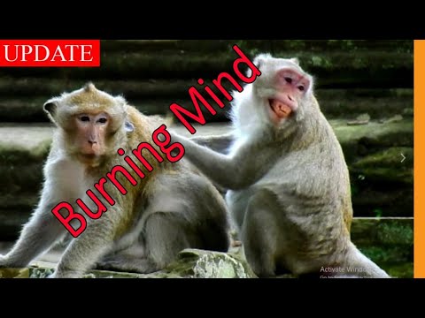 Jane High Temperature !! Jane Cry When Vennie Warn her Beloved Son Not to Come