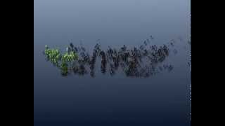 Mosaic Logo / Text Animation