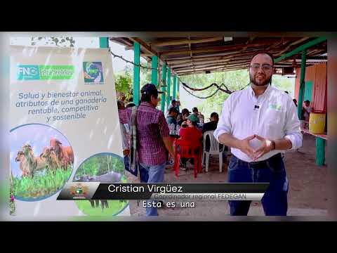 PUERTO BOYACÁ FORTALECE SU SECTOR GANADERO CON ENFOQUE EN BIENESTAR ANIMAL.