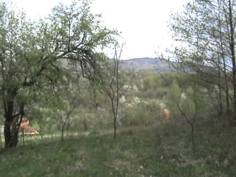 Pria, judeţul Sălaj - Brăduleţ