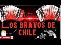 Los Bravos de Chile 2024 #LosBravosDeChile #GrupoRanchero #MúsicaRanchera: