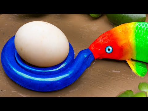 STOP MOTION ASMR - Rainbow Koi Fish Hunt Eel Protect Eggs 무지개 잉어 물고기 사냥 붉은 잉어 보호 계란 Primitive Fish