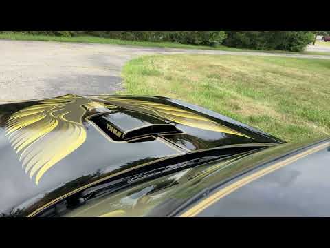 1979 Pontiac Firebird Trans Am (CC-1997998) for sale in Milford, Ohio