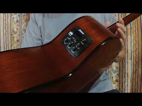 2013 Alvarez Yairi WY-1 Left Hand Electric Acoustic Guitar with cutaway+ K Yairi Hard Case Bild 26