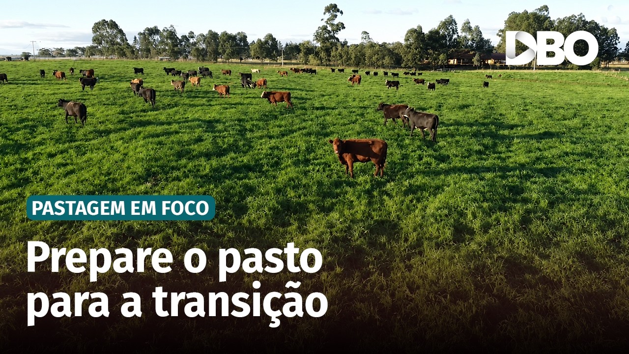 Como estimular a rebrota das pastagens nos períodos de transição