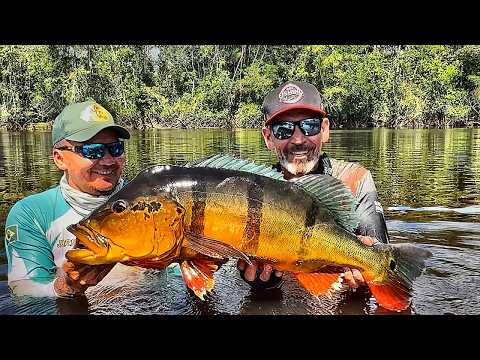 É PARA ISSO QUE EU VOU PARA A AMAZÔNIA! (Alegria 2026 - Ep. 2)