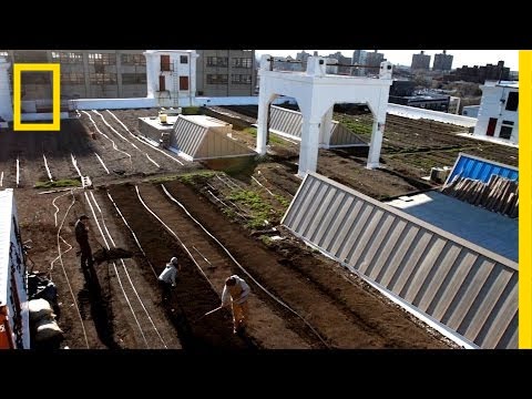 Farming on a Rooftop | National Geographic
