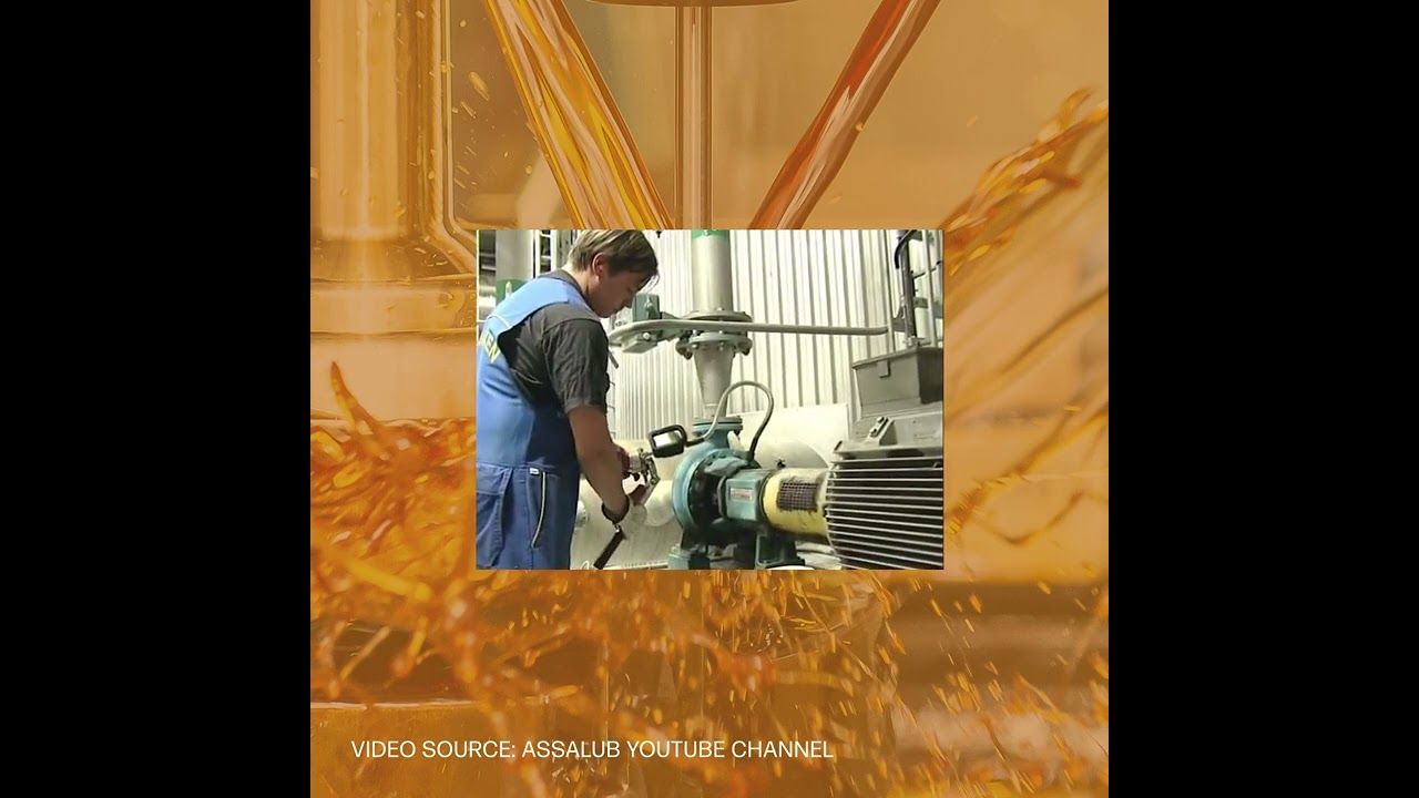 Assalub Grease Meter MK III Video