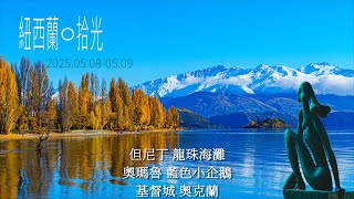 紐西蘭11 但尼丁火車站、鮑德溫陡街 Baldwin Street、龍珠海灘 Moeraki Boulders Beach、企鵝歸巢 Blue Penguin Colon、基督城、天空塔