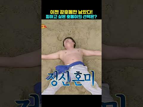 헐리웃 액션