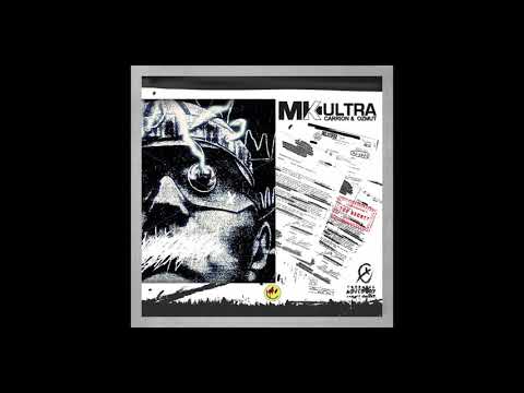 4. CARRION Y OZMUT - Partelou! ft. saske