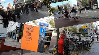 Shops, prices, discount, tips on the streets of Rotterdam, Netherlands 🇳🇱 ft. Madan