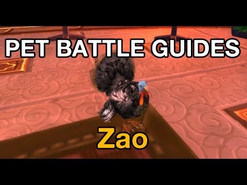 [WoW] Pet Battle Guides: Zao with only 2 pets