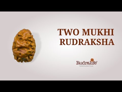 Benefits of 2 mukhi rudraksha