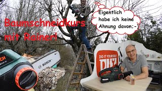 Ich schneide meinen Baum mit einer Akkukettensäge von Bosch