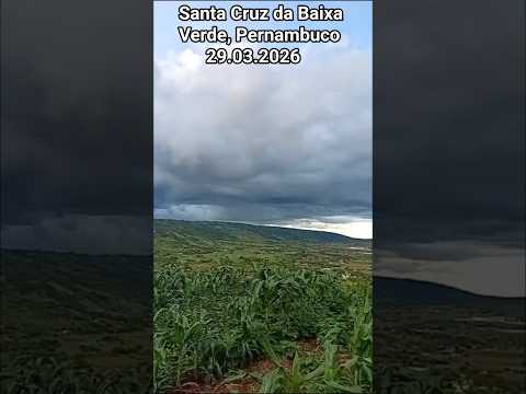 🇧🇷 SANTA CRUZ DA BAIXA VERDE, PERNAMBUCO, 29/03/2026 #nordeste #vidanaroça #agro #vidanaroça #sitio