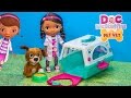 Doc McStuffins Vet Doctor With Findo Puppy Toy Unboxing