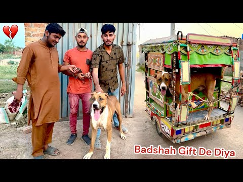 SUBSCRIBER KO BULLY DOG BADSHAH GIFT🎁 DE DIYA🥺
