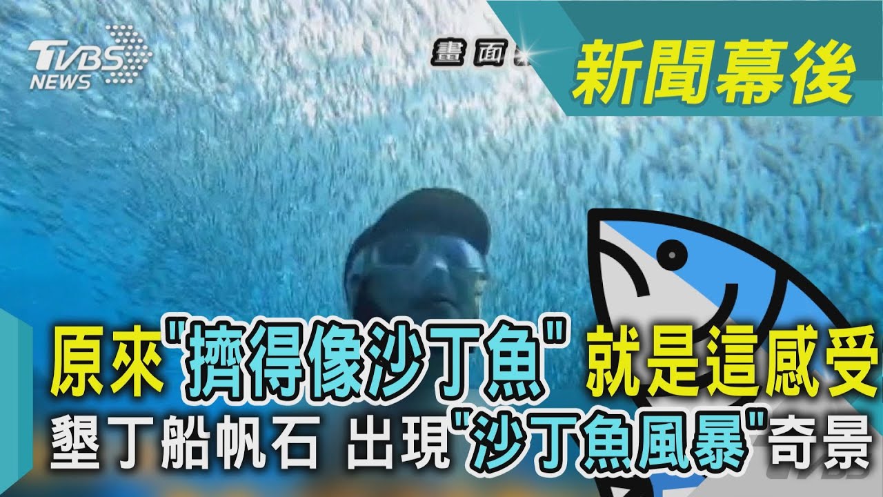 影音／「擠得像沙丁魚」就是這感受　墾丁船帆石出現「沙丁魚風暴」