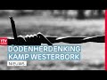 Kijk mee: Dodenherdenking bij voormalig Kamp Westerbork  | RTV Drenthe