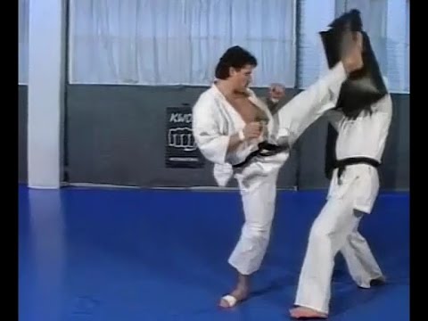 Kyokushin karate by Andy Hug & Michael Wedel