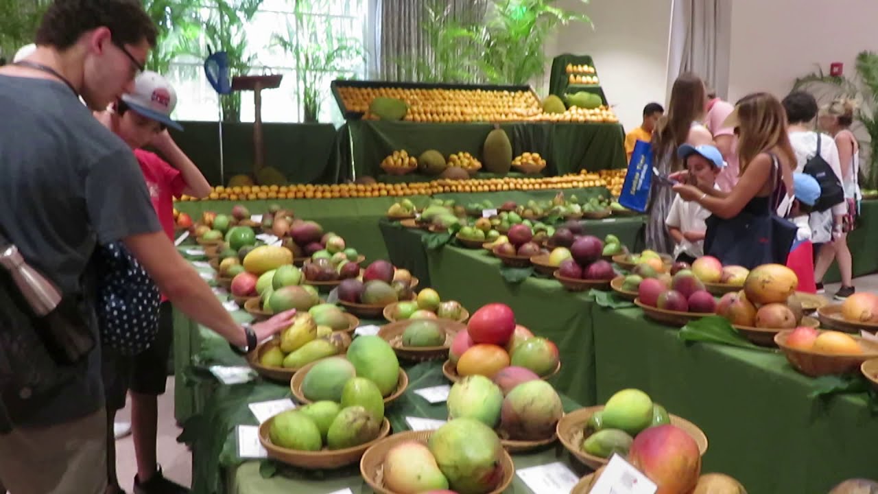 Mango Festival