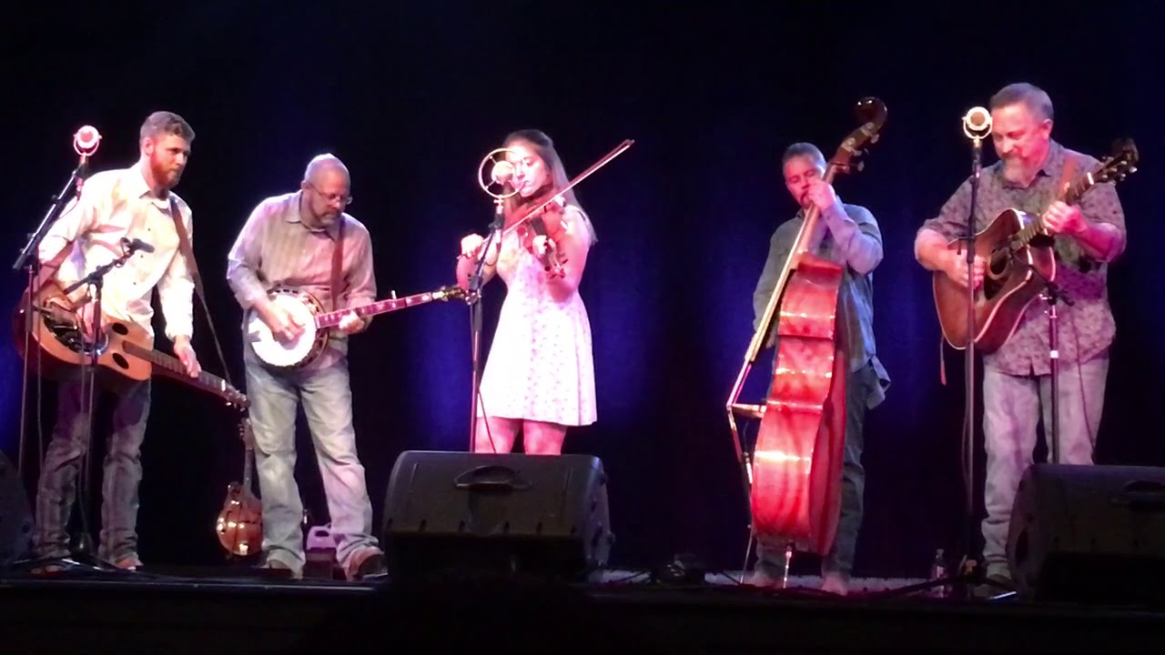 Hire Wilson Banjo Co. Bluegrass Band in Westminster, South Carolina