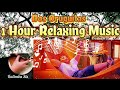 Dos Oruguitas | 1 Hour Kalimba Relaxing Music