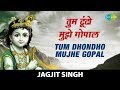 Tum Dhondho Mujhe Gopal | तुम ढूंढो मुझे गोपाल | Krishna Bhajan | कृष्णा 
