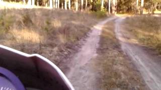 preview picture of video 'Irbis TTR250 2013 - ride through the woods'