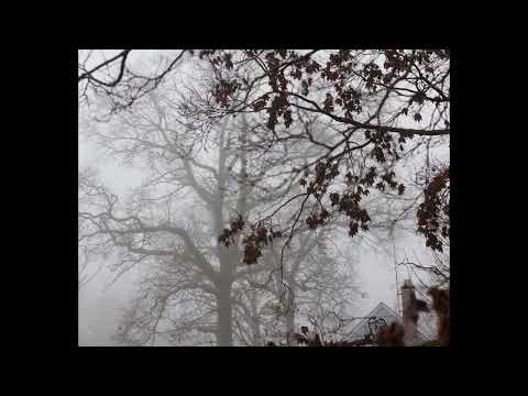 ☆free for profit☆ lil peep x nedarb acoustic guitar type beat "right here"