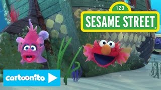 Sesame Street | SONG: All Around the Ocean | Cartoonito