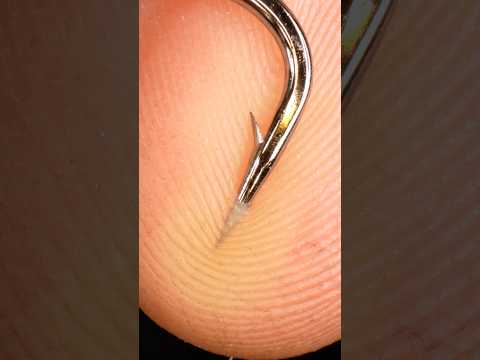 ASMR needle (fishing hook) under thumb skin CLOSE-UP ( macro - zoom in) #asmr #asmrsounds #closeup