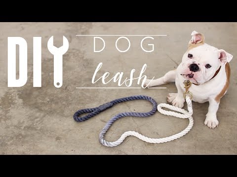 DIY Dog Leash
