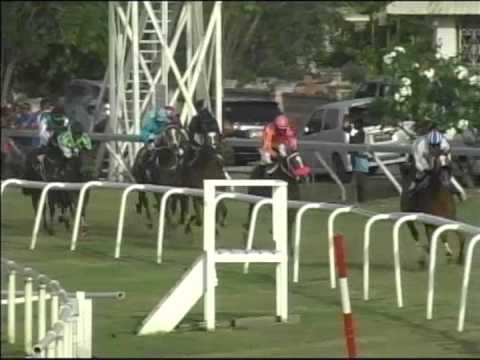 Race #7 April 28, 2015 Walls Magnum Classic Barbados Guinaes