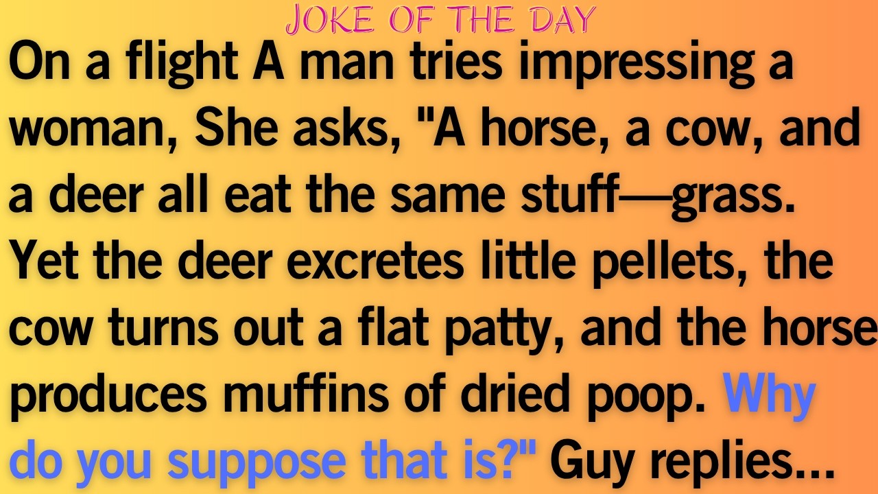 😂 Best Jokes | Not Ready for That Question 😂✈️ #jokes