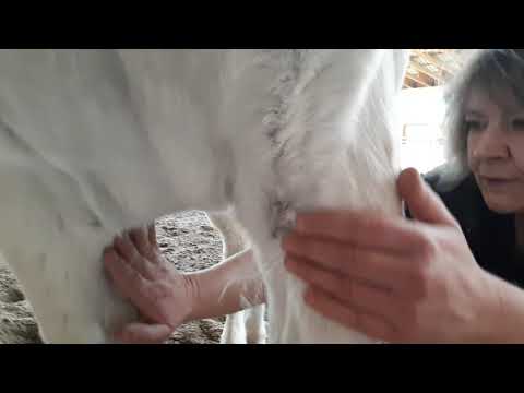 Energieausgleich - Lungenmeridian