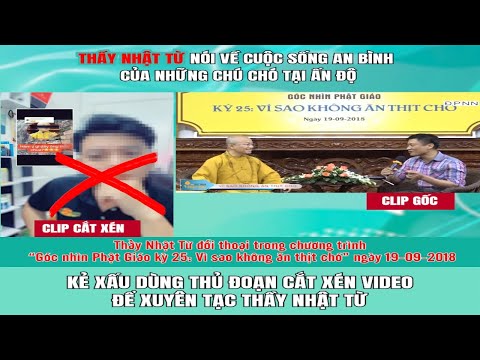 Thầy Nhật Từ KHÔNG XÚC PHẠM bất kỳ cá nhân, tổ chức nào