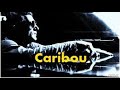 Jerry Lee Lewis - The Complete Caribou Sessions, recorded in November, 1980. Vol 1.