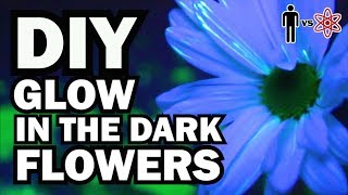 DIY Glow in the Dark Flowers - Man Vs Science #6