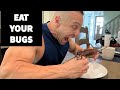 Why YOU Should Eat Bug Protein!