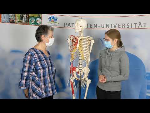 Briefly explained: Bones & Joints