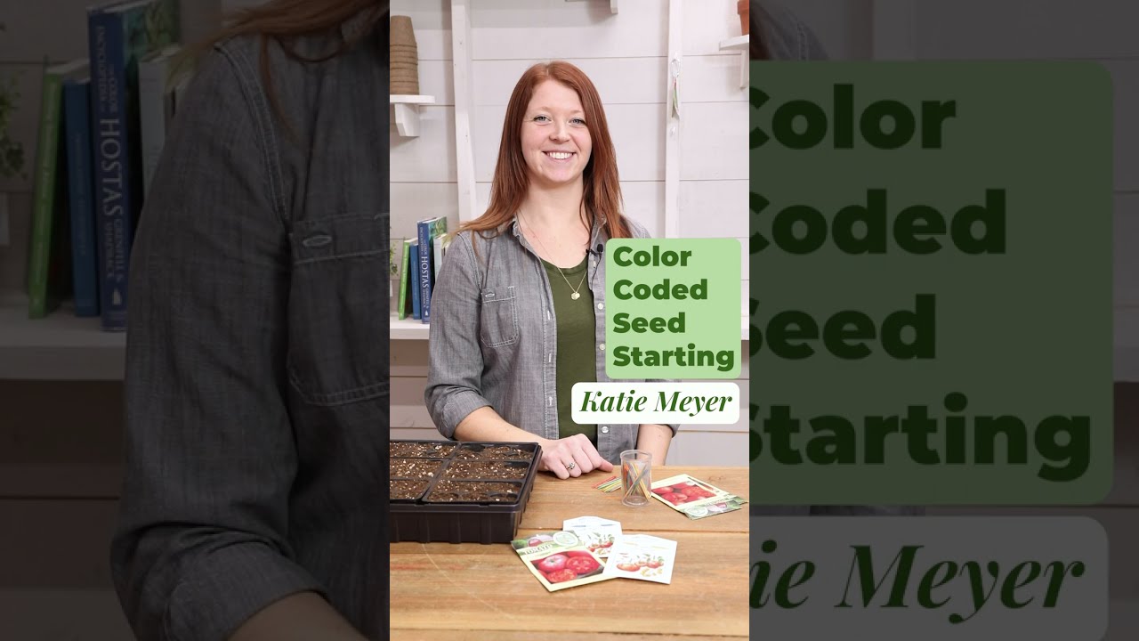 🔴 Color Coded Seed Starting 🟢